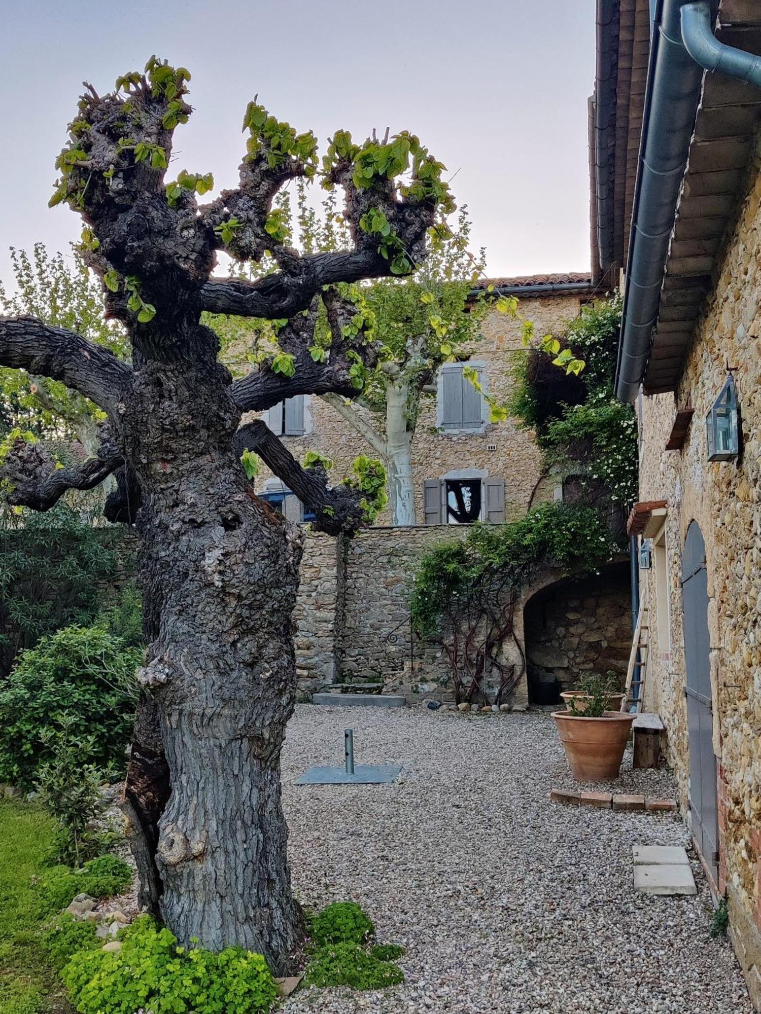 Gite Proche De La Bambouseraie Boisset-et-Gaujac Exteriör bild
